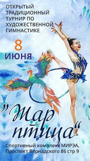 Открытый традиционный турнир по художественной гимнастике «Little Star Beby Cup», 8 июня 2024, Москва