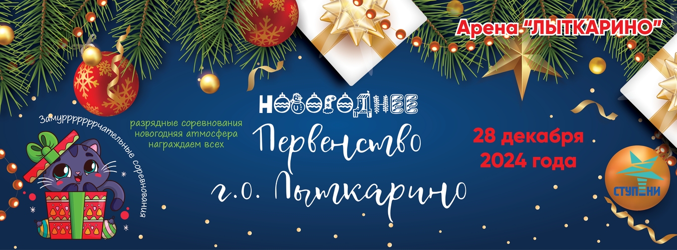 Первенство городского округа Лыткарино по художественной гимнастике, 28 декабря 2024, МО, Лыткарино